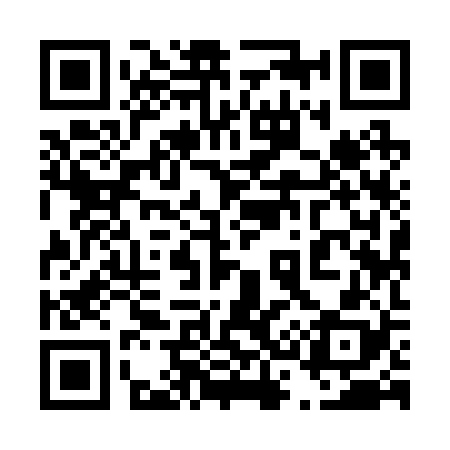 QR code for 439228