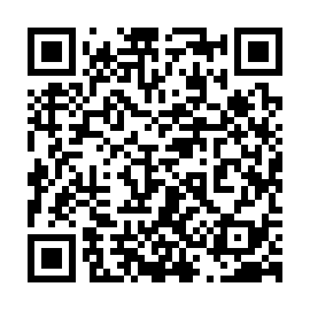 QR code for 439339