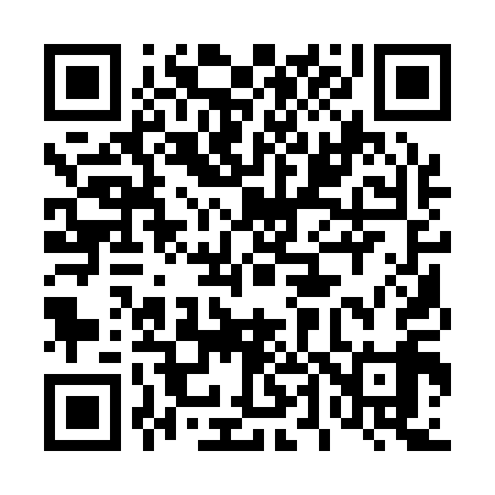 QR code for 441119