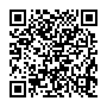 QR code for 443377