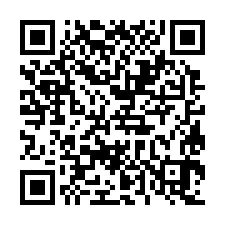 QR code for 447383
