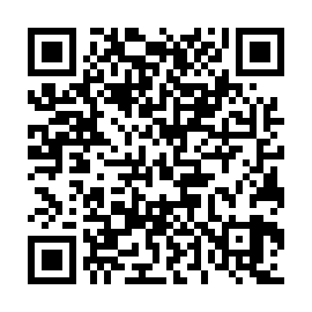 QR code for 447529