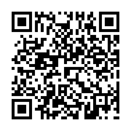 QR code for 450384