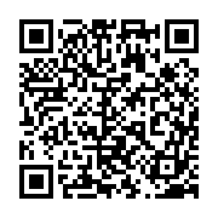 QR code for 451173