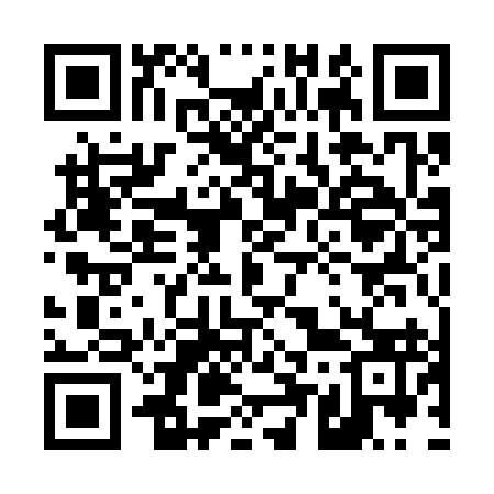 QR code for 451393
