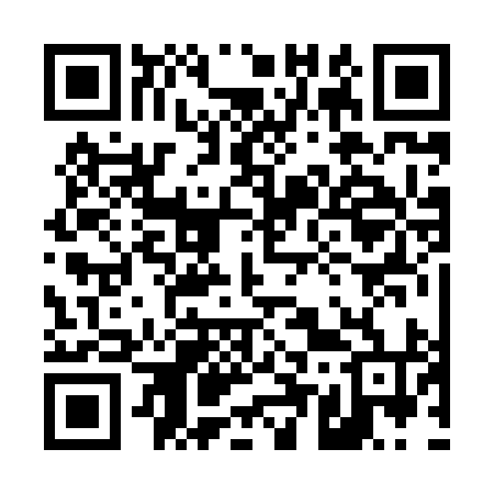 QR code for 452894