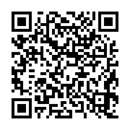 QR code for 453073