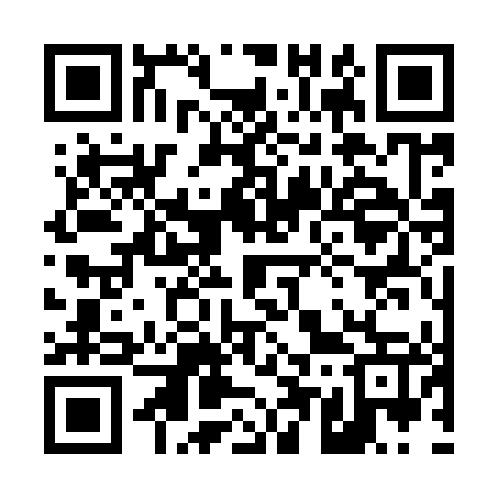 QR code for 453947
