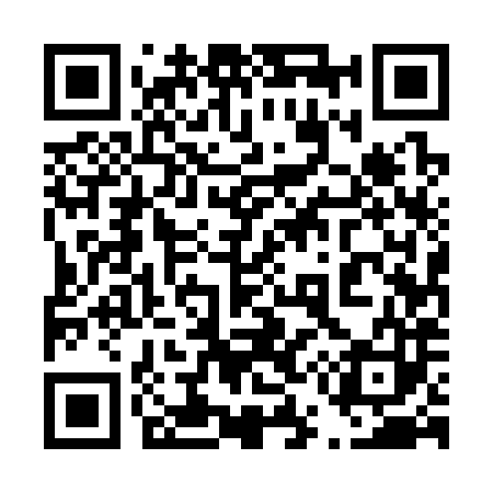 QR code for 455383
