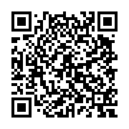 QR code for 458411