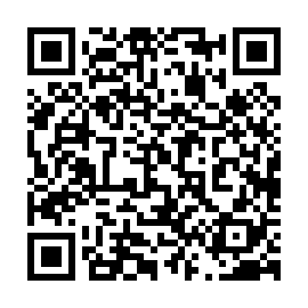 QR code for 460028