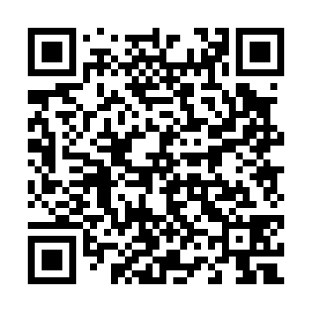 QR code for 460038