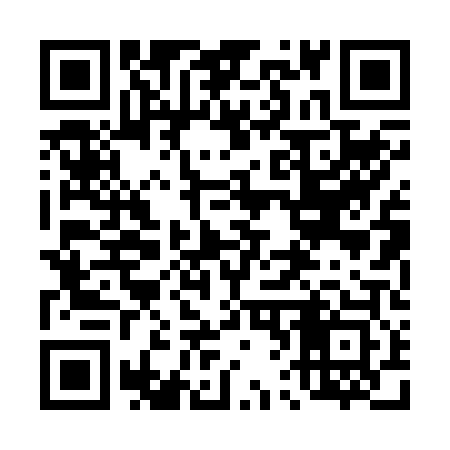 QR code for 460203