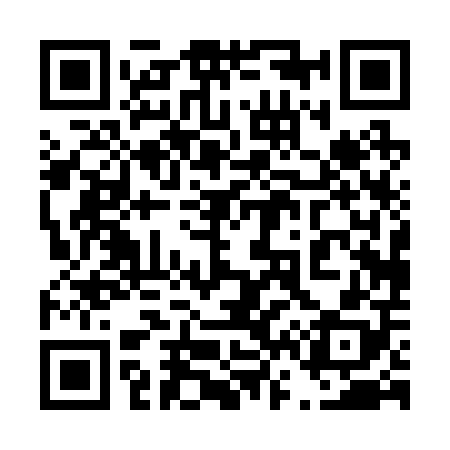 QR code for 460208