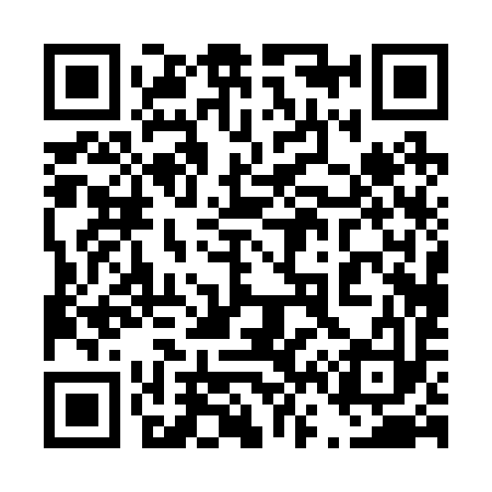 QR code for 460293