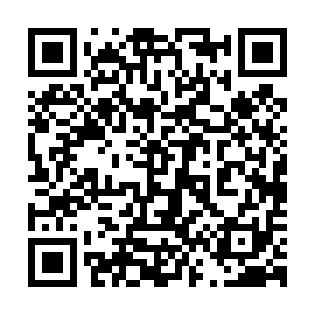 QR code for 460411