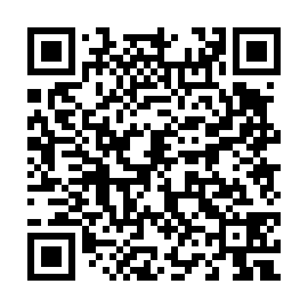 QR code for 460438