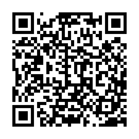 QR code for 460541