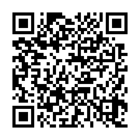 QR code for 460738