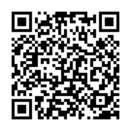 QR code for 461038