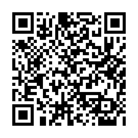 QR code for 461138