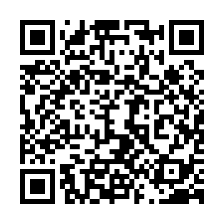 QR code for 461139