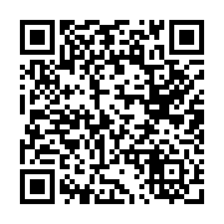 QR code for 461141