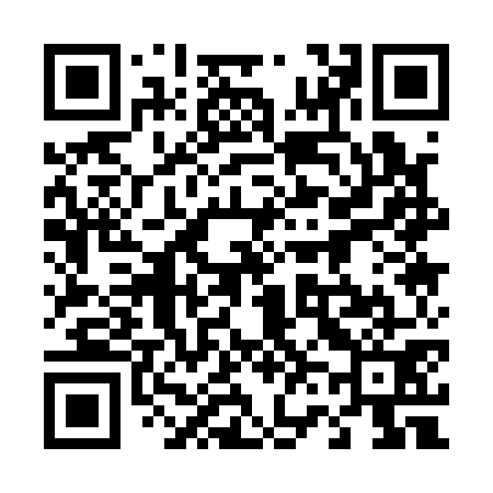 QR code for 461171