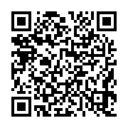QR code for 461173