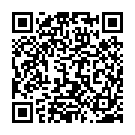QR code for 461233