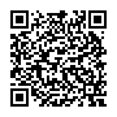 QR code for 461295