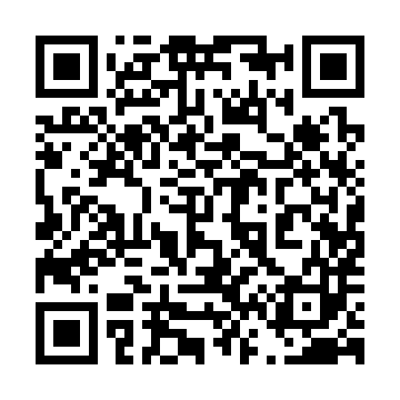 QR code for 461383