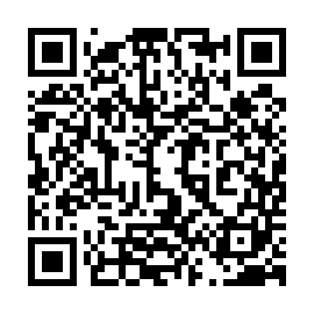 QR code for 461541