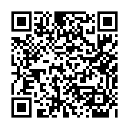 QR code for 461641