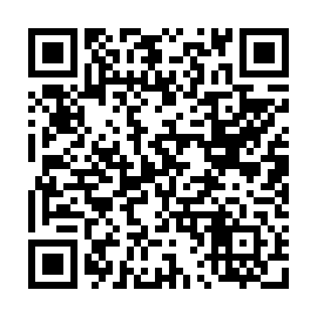 QR code for 461642
