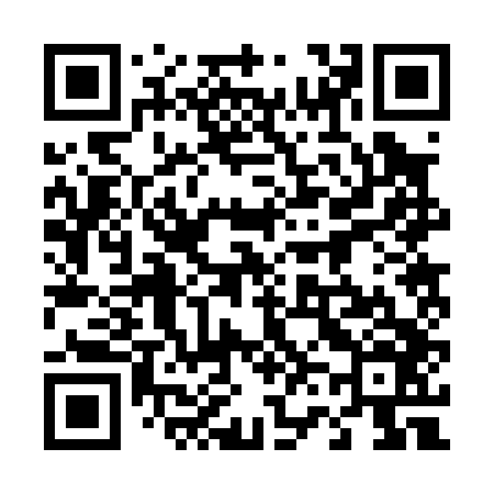 QR code for 462046