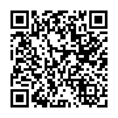 QR code for 462111