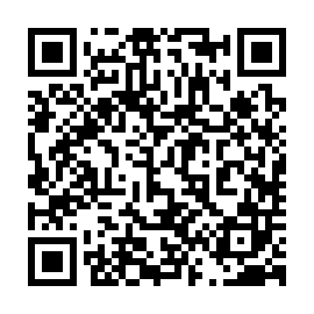 QR code for 462302