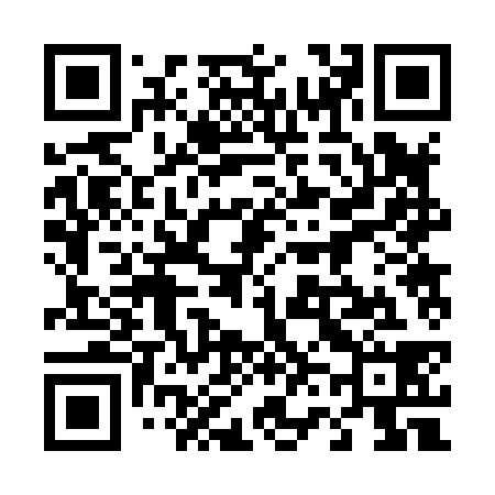 QR code for 462838