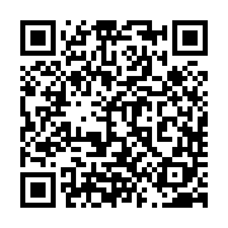 QR code for 462848