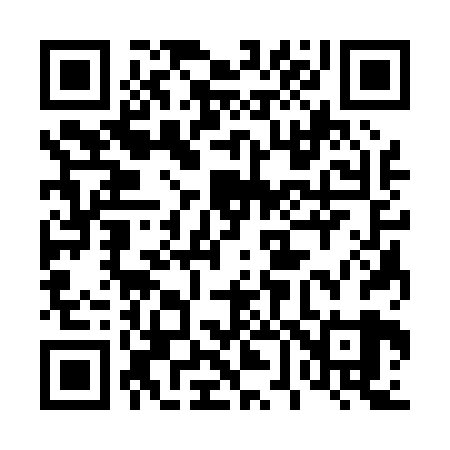 QR code for 463029