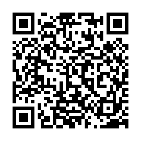 QR code for 463033