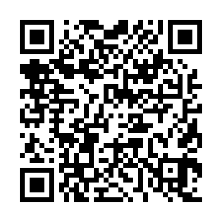 QR code for 463041