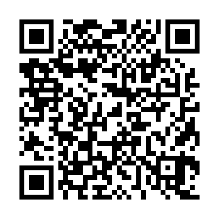 QR code for 463060