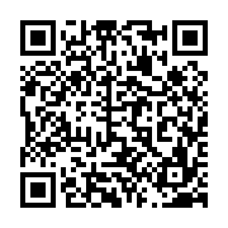 QR code for 463136
