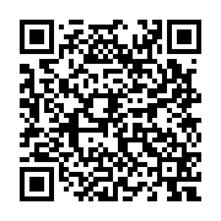 QR code for 463161