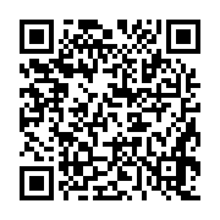 QR code for 463176