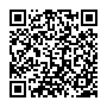 QR code for 463207