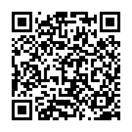 QR code for 463225