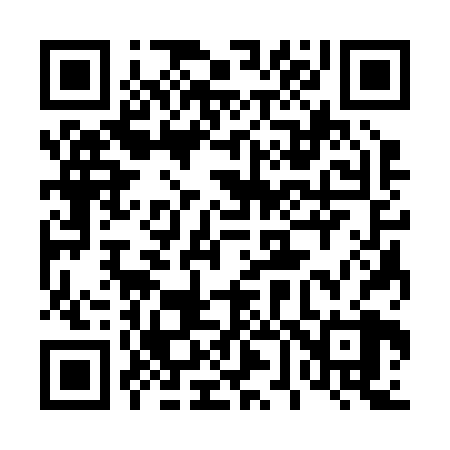 QR code for 463228